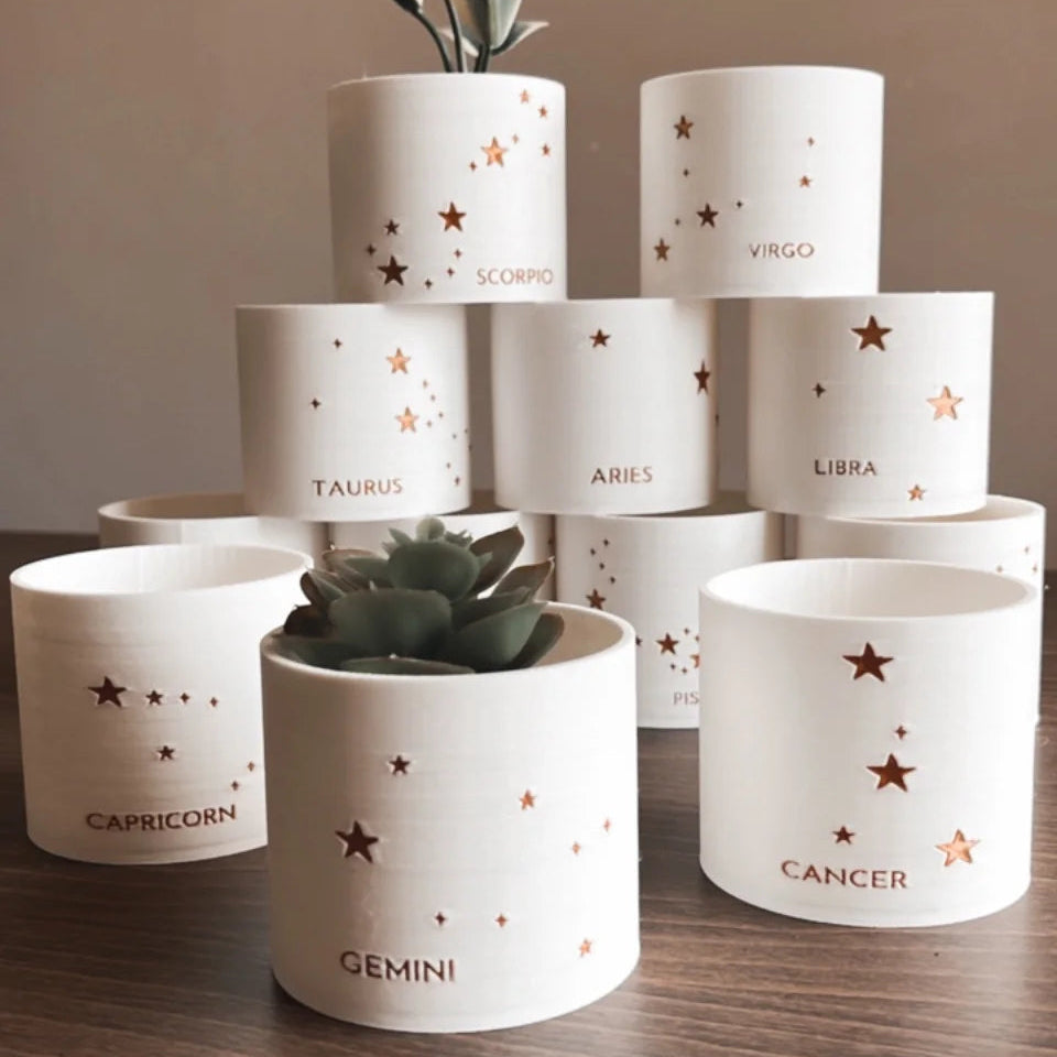 Prairie City Printing - Pot de fleurs succulent petit Zodiac-1