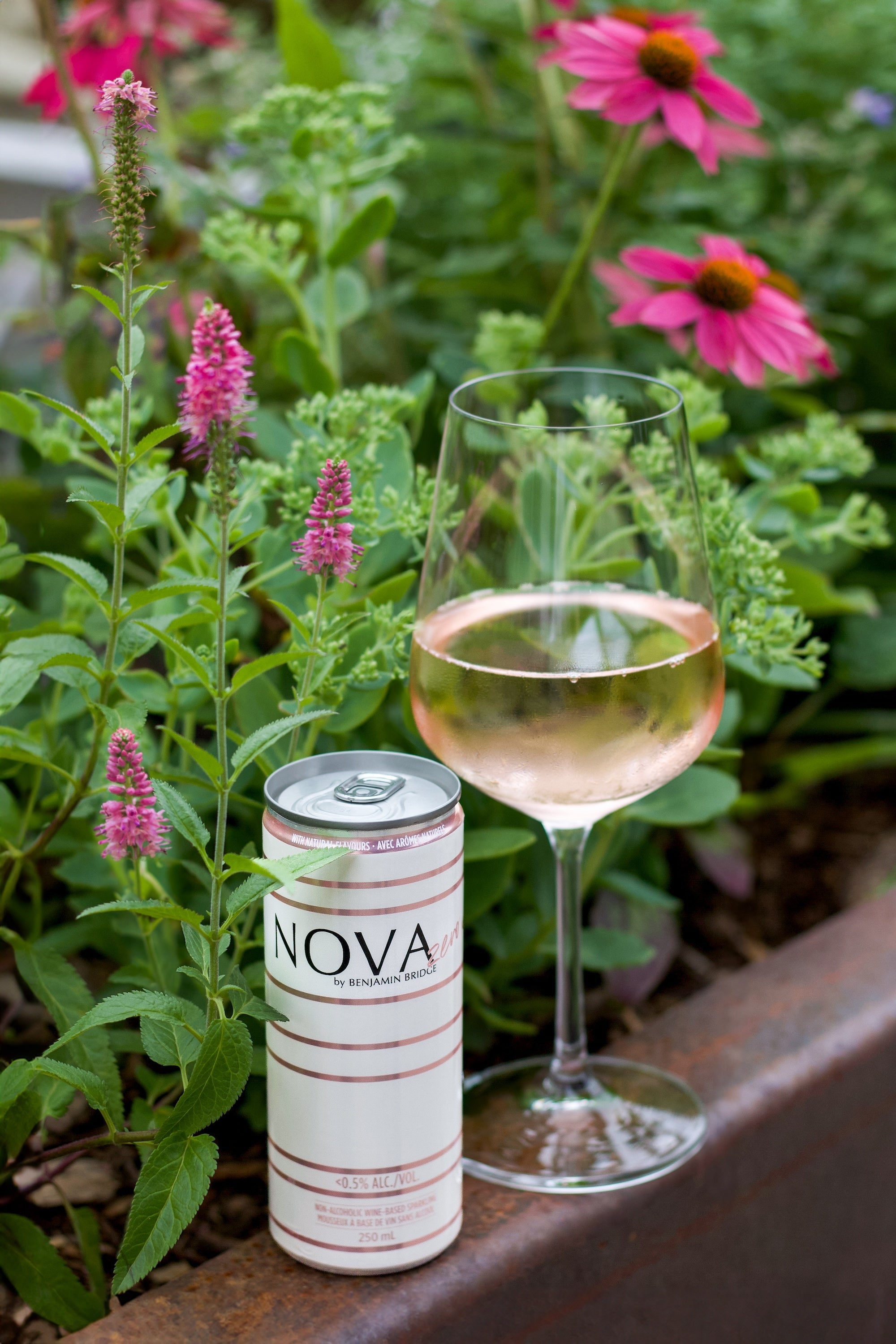 Benjamin Bridge - Nova Zero - 250 mL-5