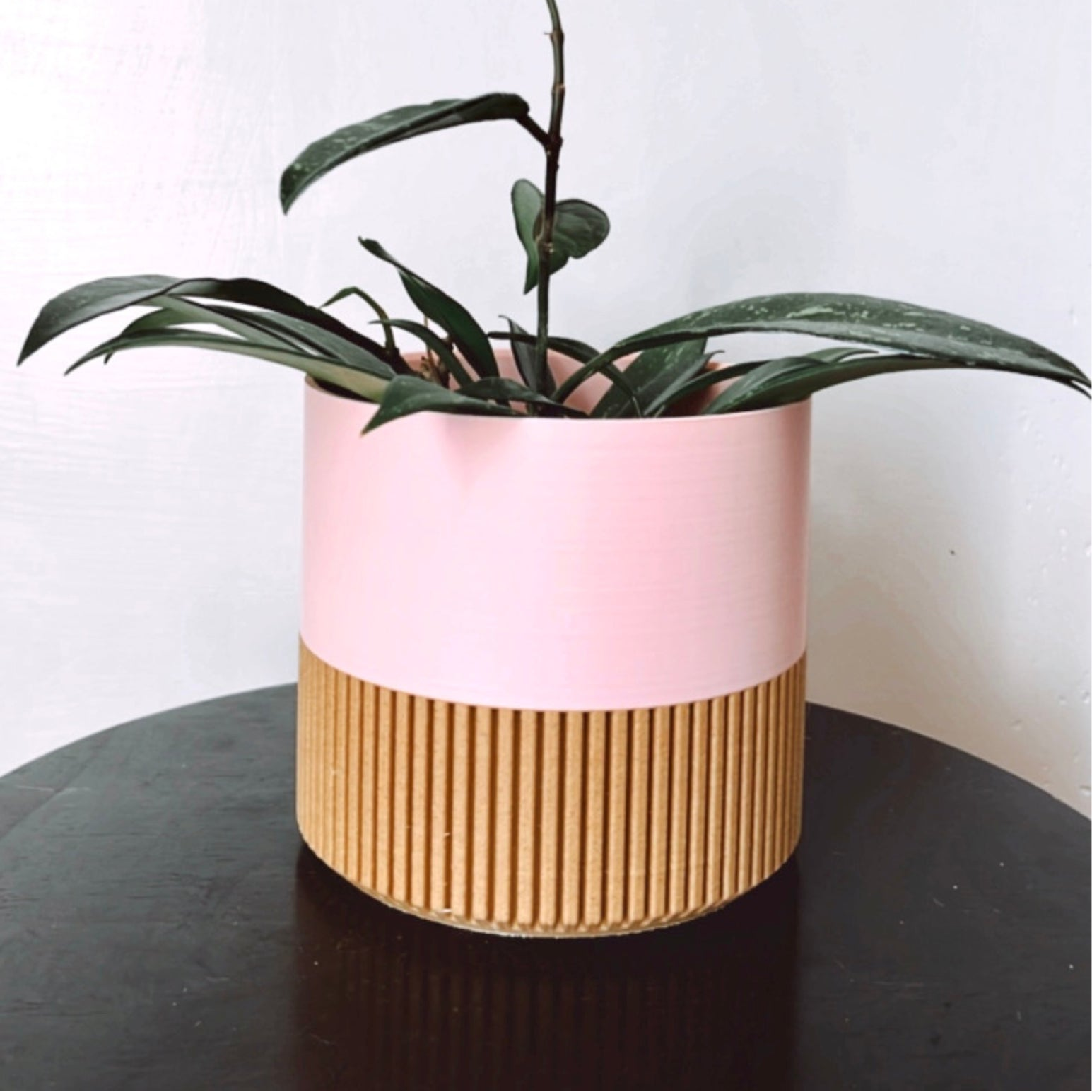 Prairie City Printing Co - Pot bicolore-3
