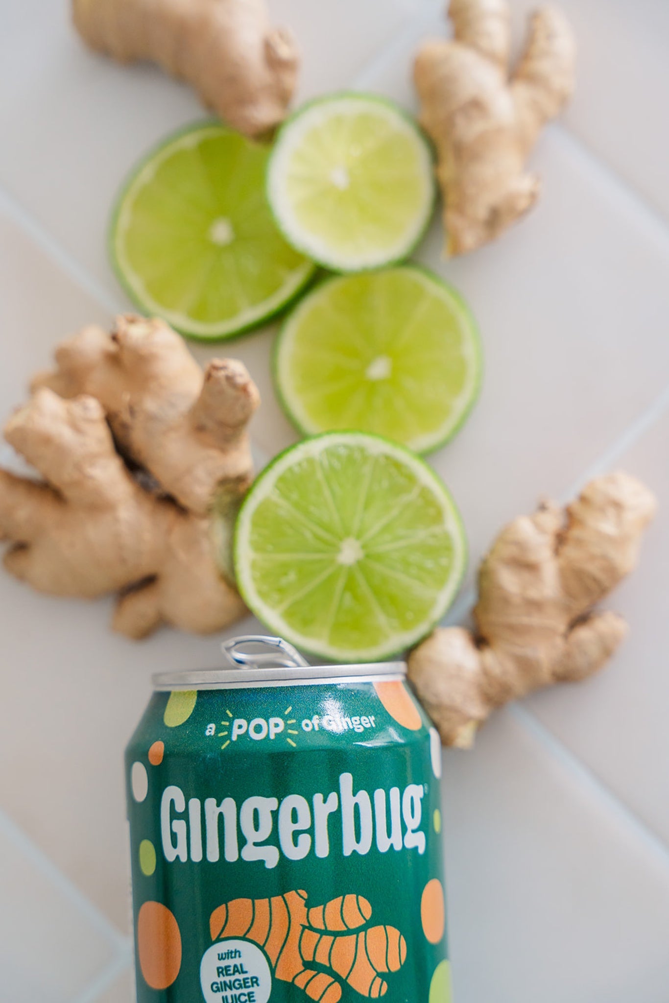 Gingerbug - Sec-3