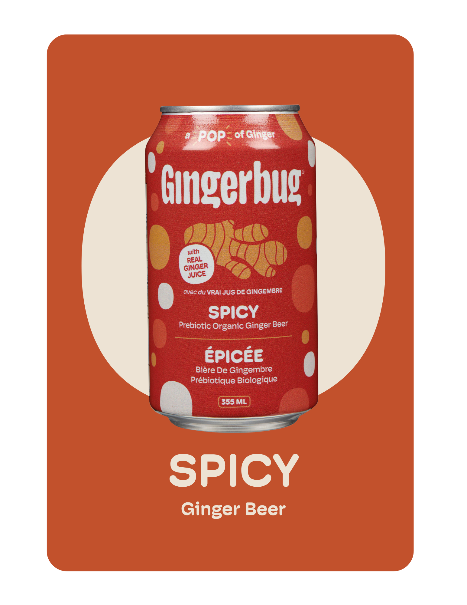 Gingerbug - Épicé-3