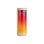Salut - Seltzer Mûre Citron