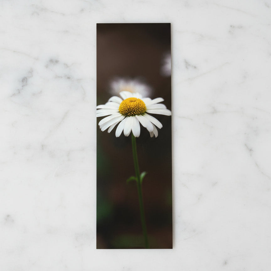 De My Angle Photography - Marque-page avec pompon-5