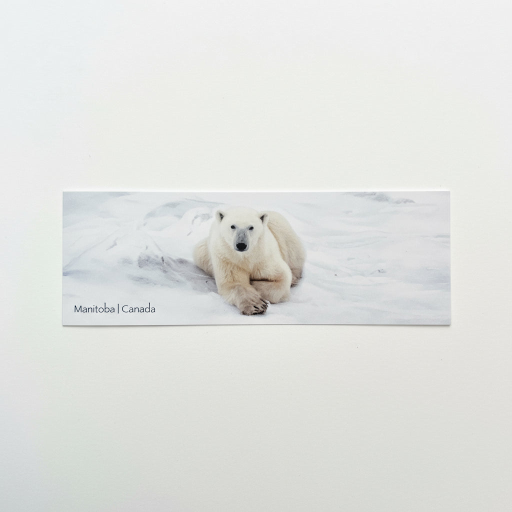 De My Angle Photography - Marque-page avec pompon-10