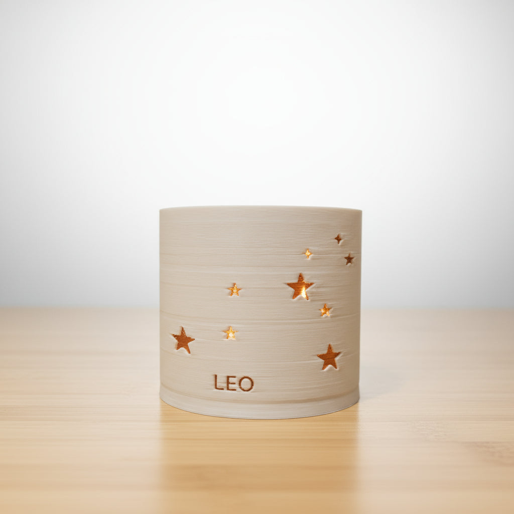 Prairie City Printing - Zodiac Small Succulent Planter
