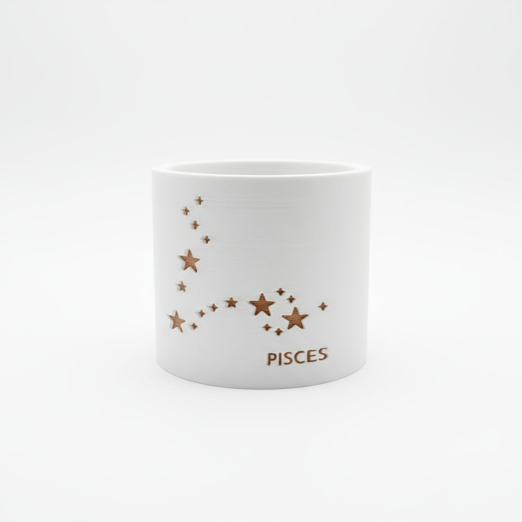 Prairie City Printing - Zodiac Small Succulent Planter