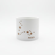 Prairie City Printing - Pot de fleurs succulent petit Zodiac