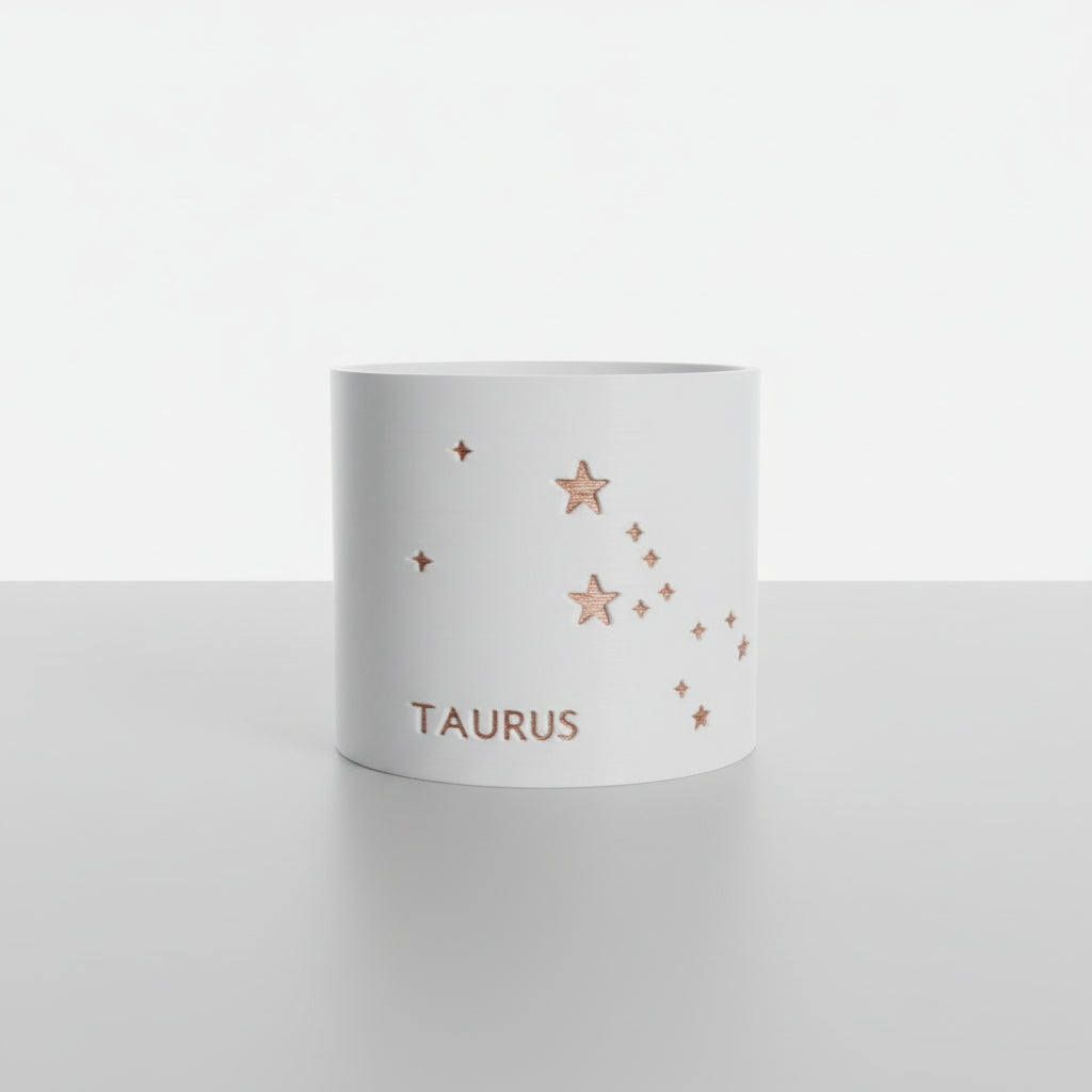 Prairie City Printing - Pot de fleurs succulent petit Zodiac-3