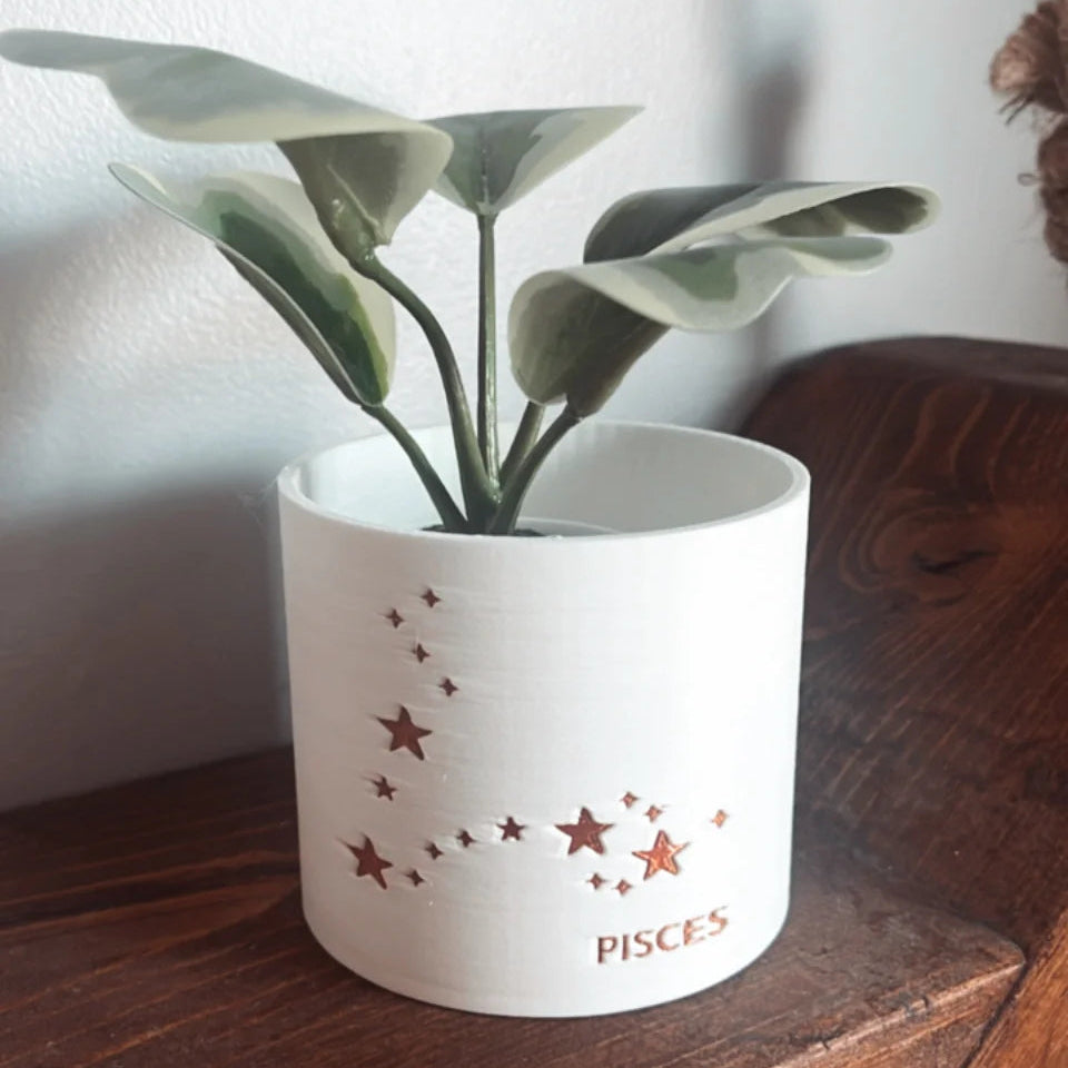 Prairie City Printing - Pot de fleurs succulent petit Zodiac-2