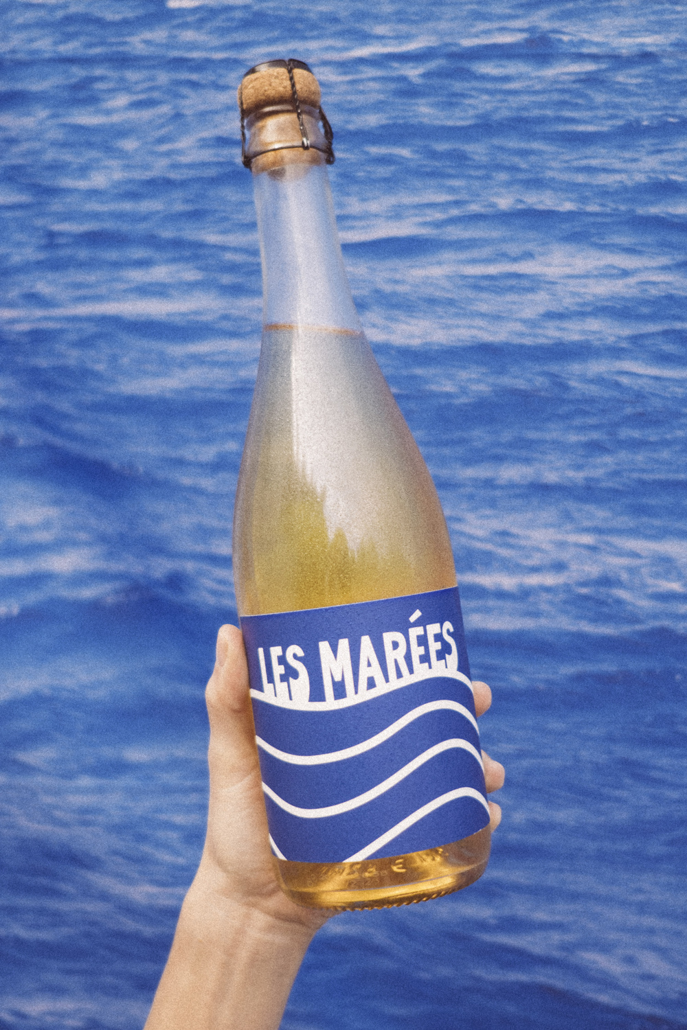 Les Marées - Blanc de Blanc effervescent-4