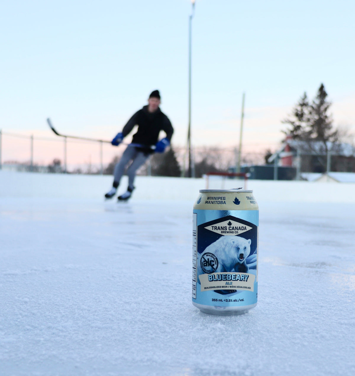 Trans Canada Brewing - Bluebeary Ale-2