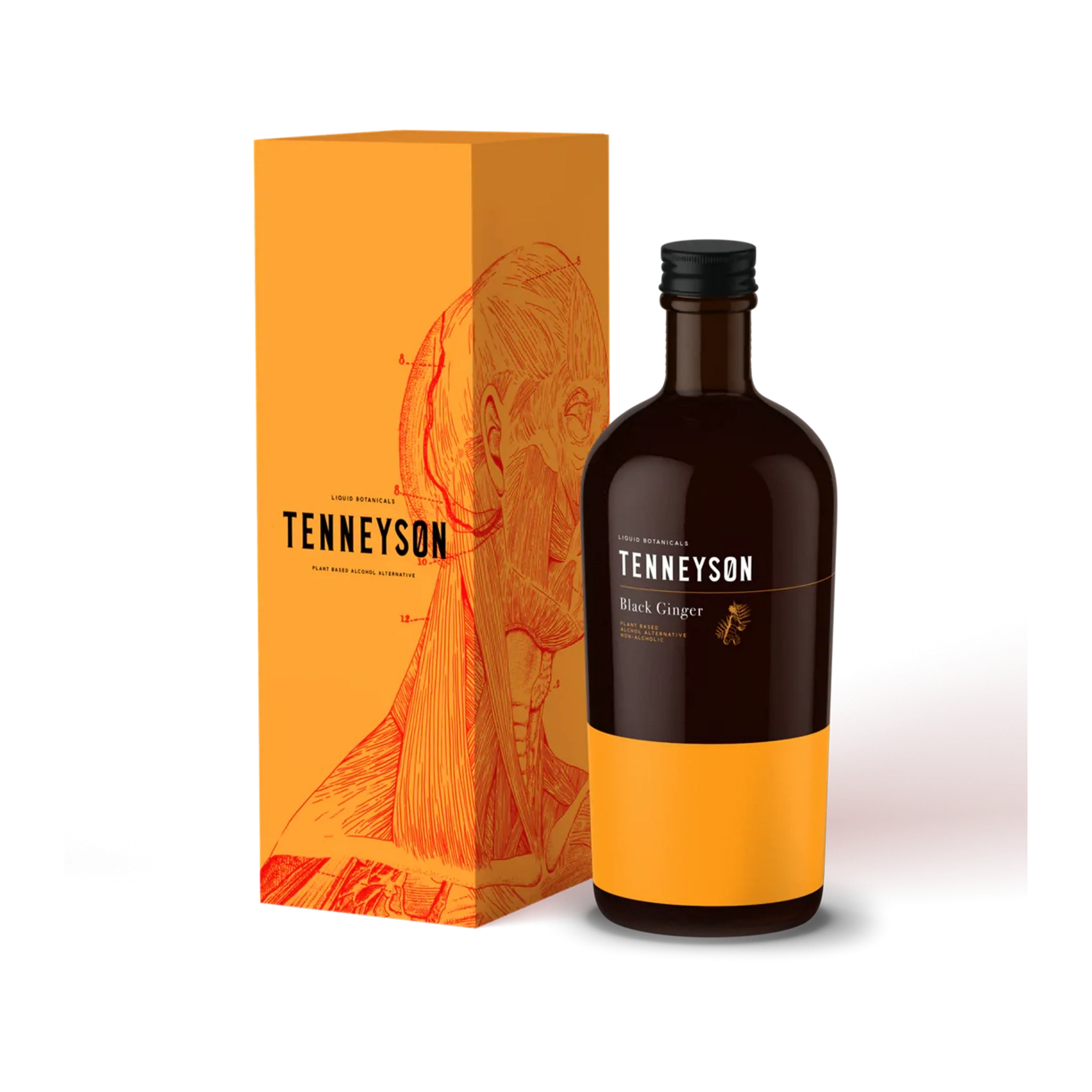 tenneyson - healthy drinking choices - ginger, gentian root