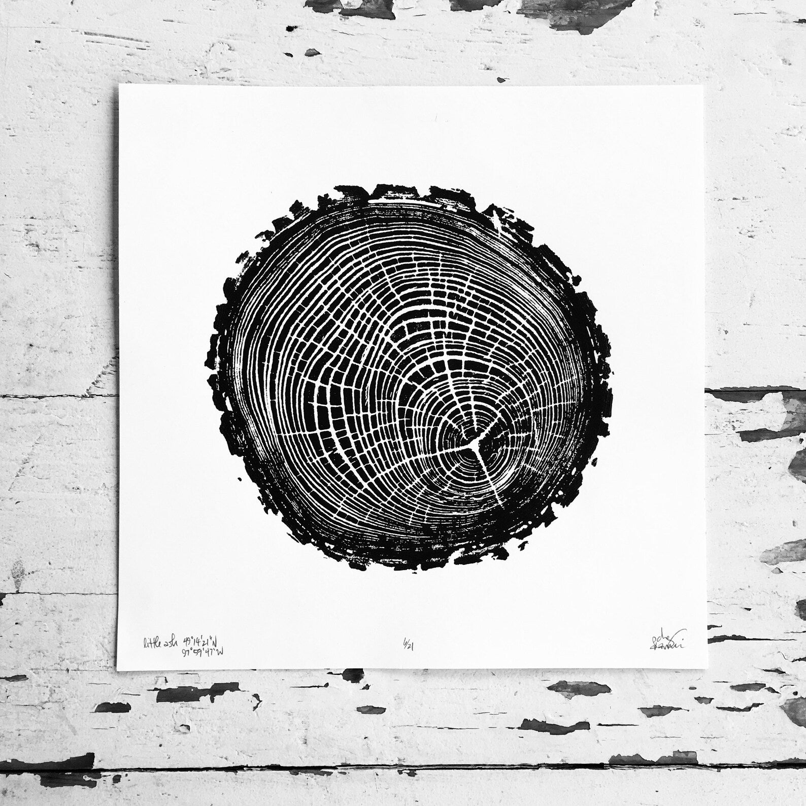 Nice Art People - Handprinted Tree Ring Prints (9 x 9)