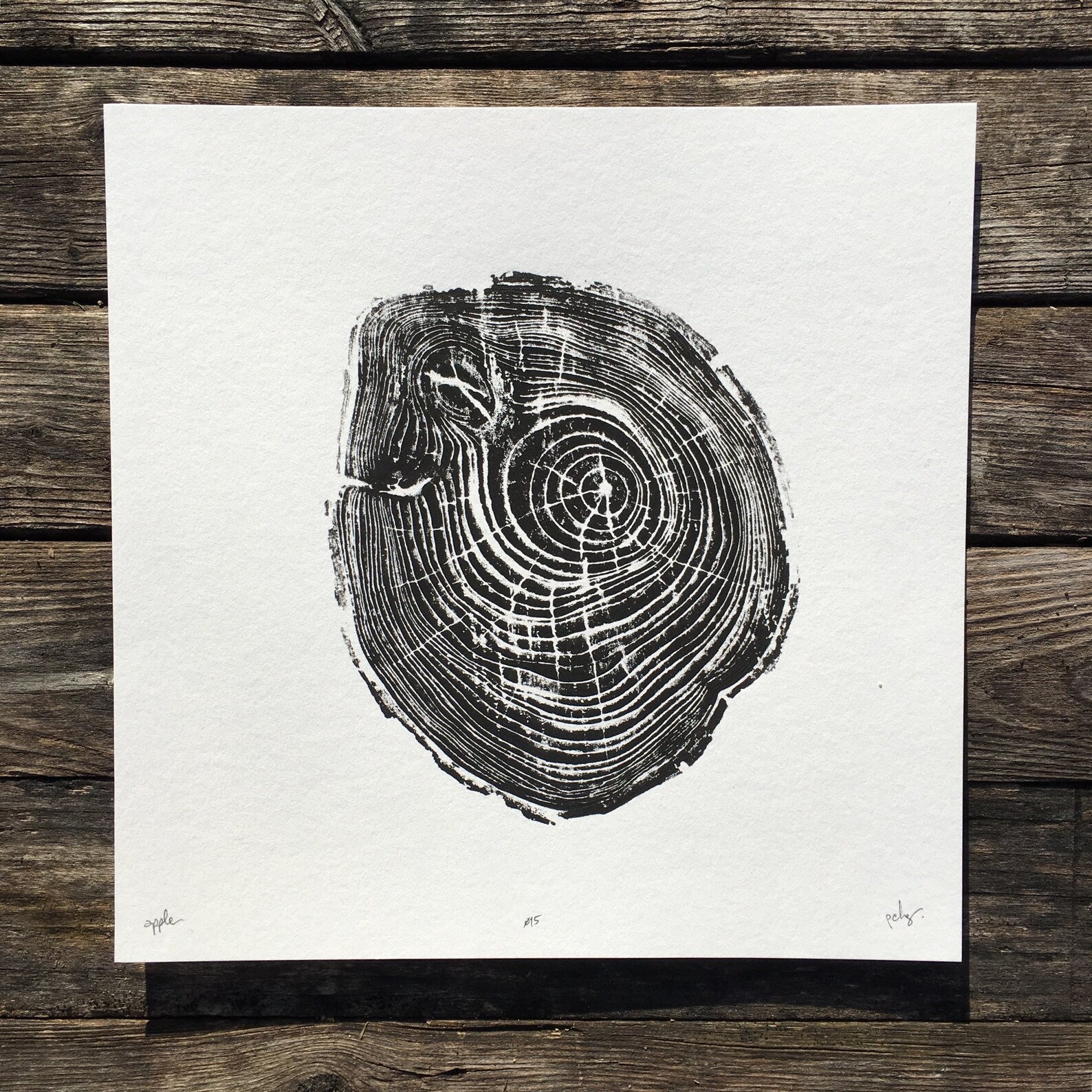 Nice Art People - Handprinted Tree Ring Prints (9 x 9)-7