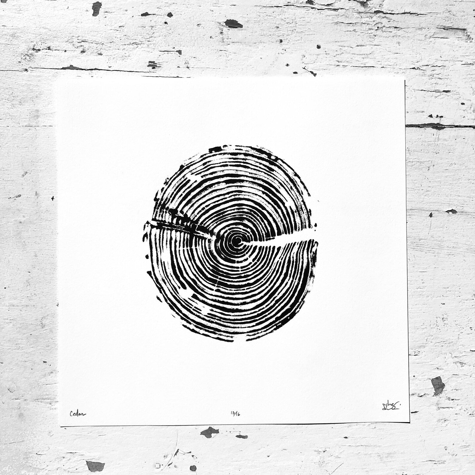 Nice Art People - Handprinted Tree Ring Prints (9 x 9)
