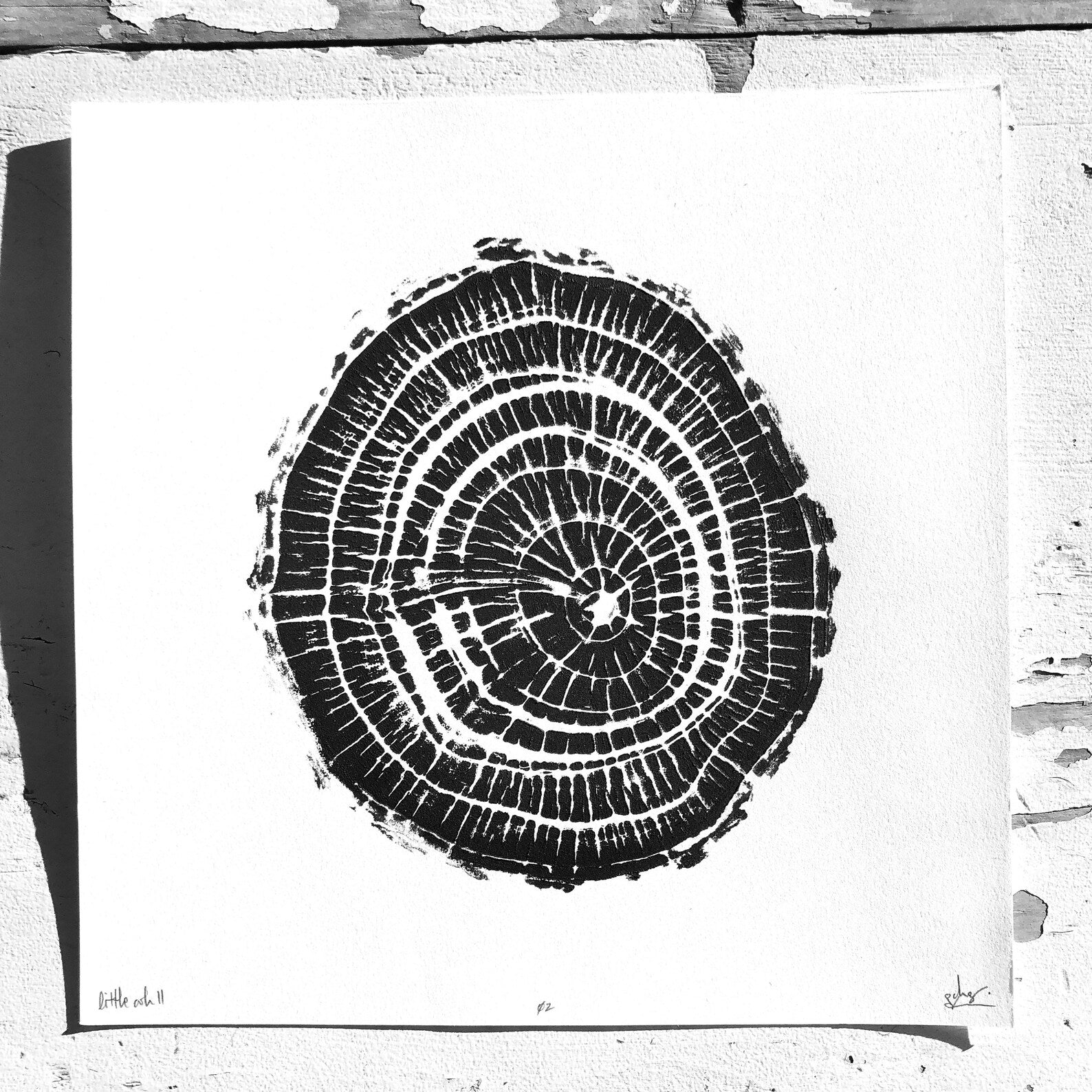 Nice Art People - Handprinted Tree Ring Prints (9 x 9)-3