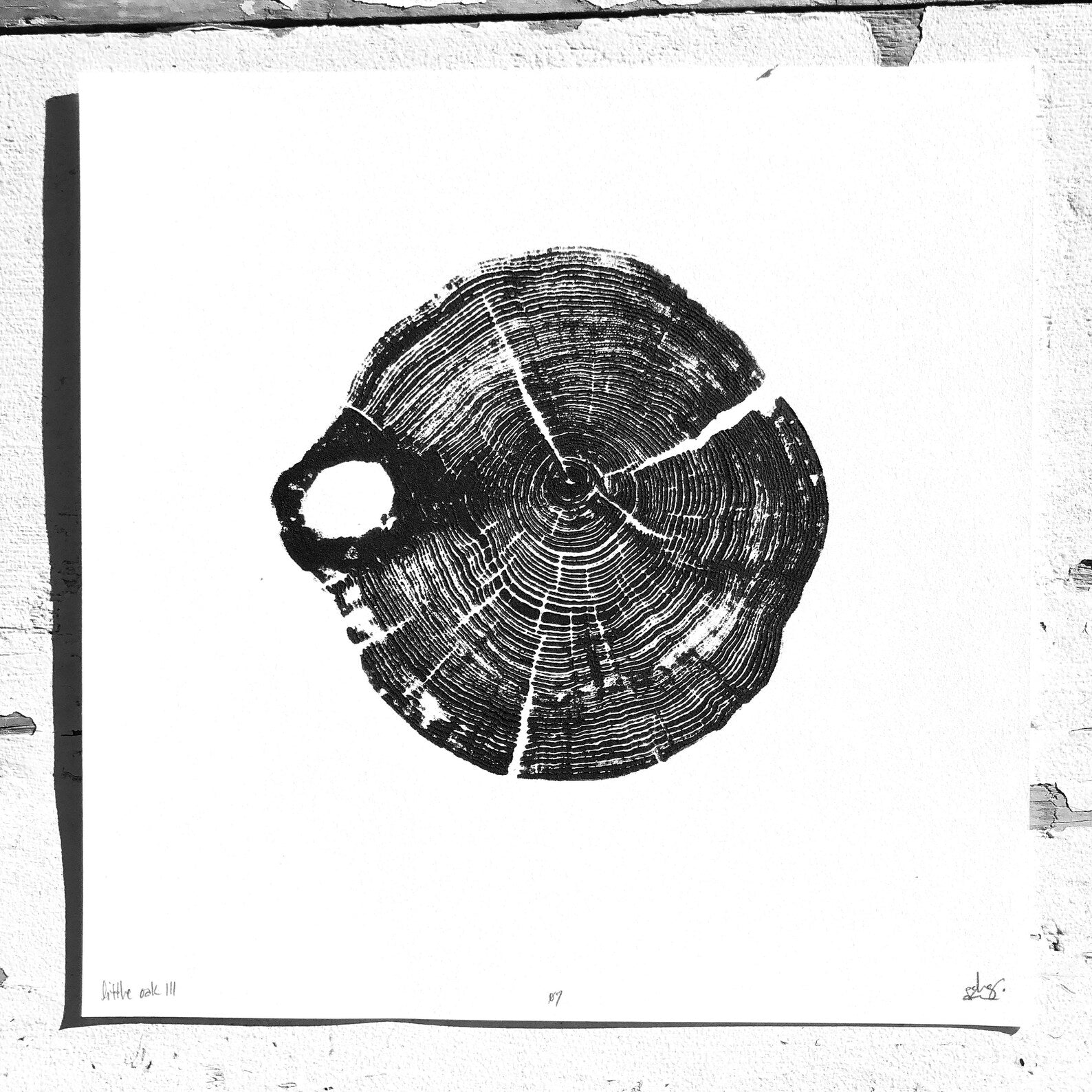Nice Art People - Handprinted Tree Ring Prints (9 x 9)-4