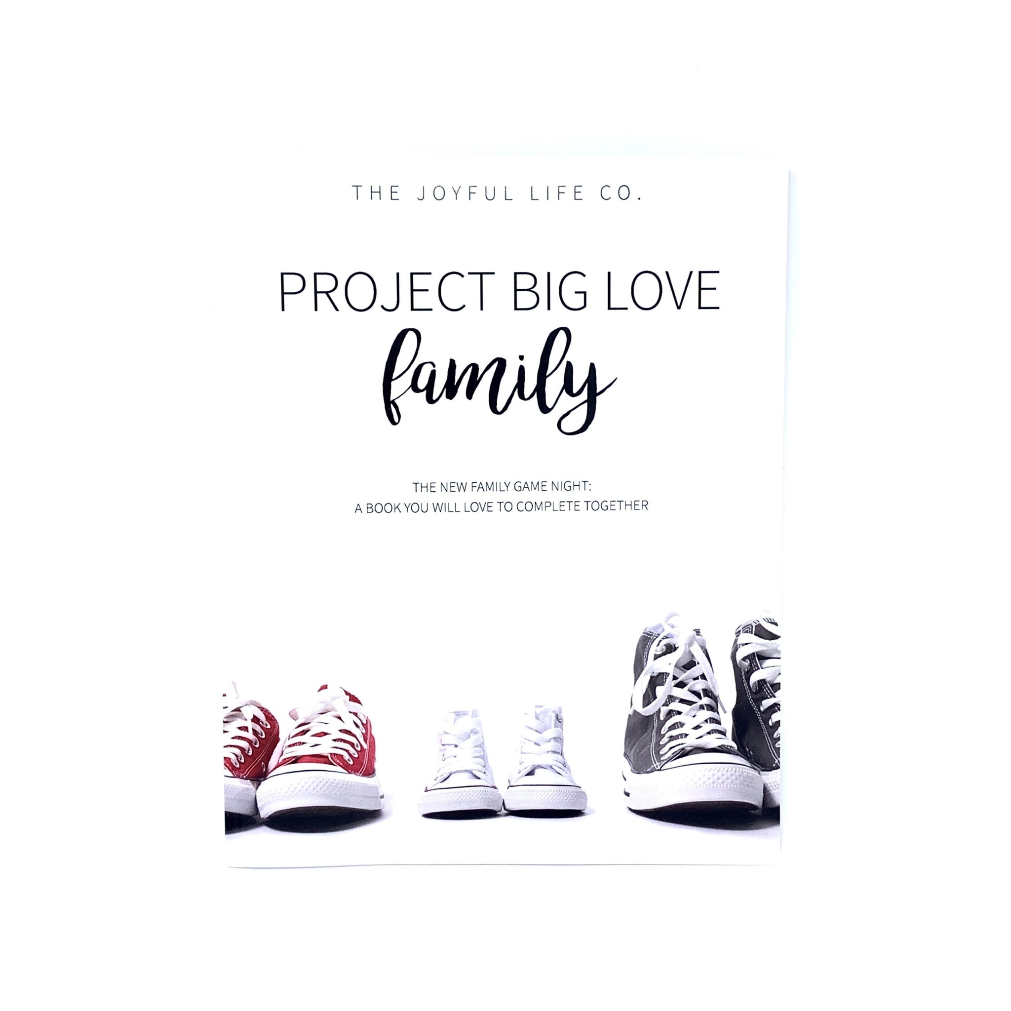 PROJECT BIG LOVE