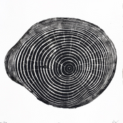 Nice Art People - Handprinted Tree Ring Prints (12 x 12)