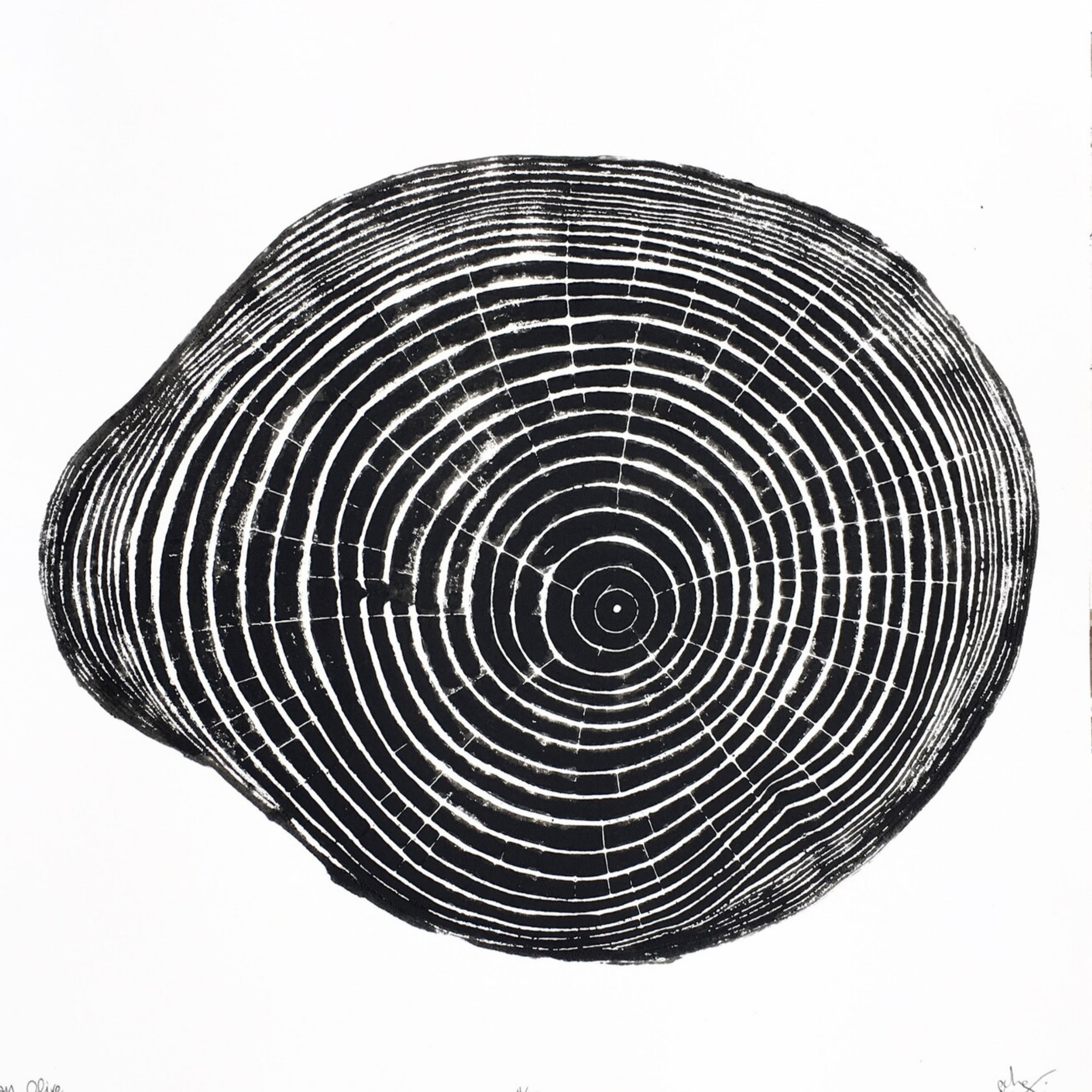 Nice Art People - Handprinted Tree Ring Prints (12 x 12)