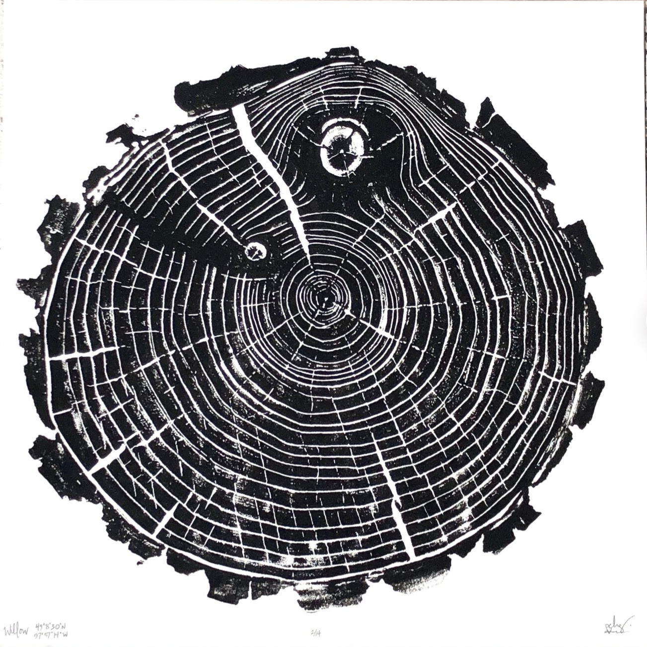 Nice Art People - Handprinted Tree Ring Prints (12 x 12)