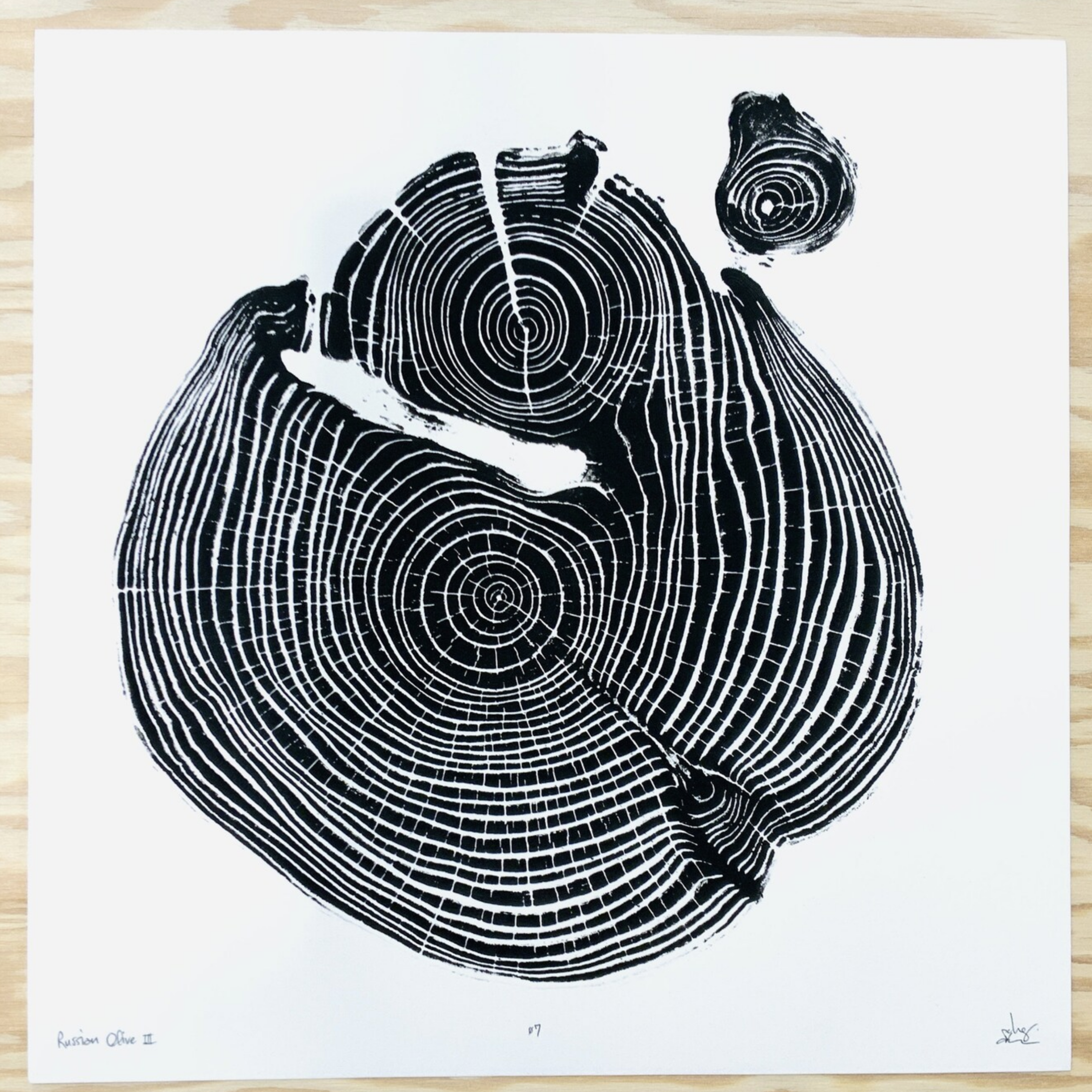 Nice Art People - Handprinted Tree Ring Prints (12 x 12)-4